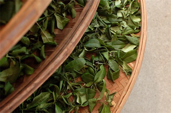 Mo Heart's Self-Love Journey: How Drag Race Star Redefined Beauty Standards