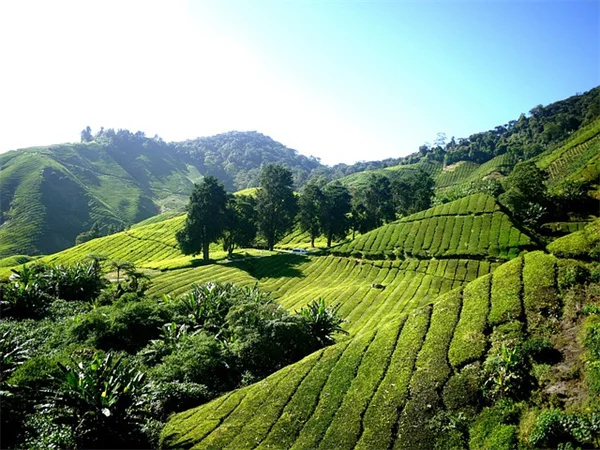 5 Science-Backed Ways Funny Work Breaks Boost Productivity