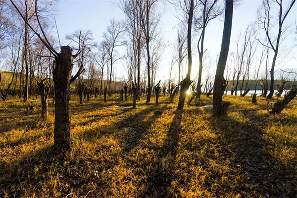 DOJ Marijuana Reclassification: What Biden's Historic Move Means for You