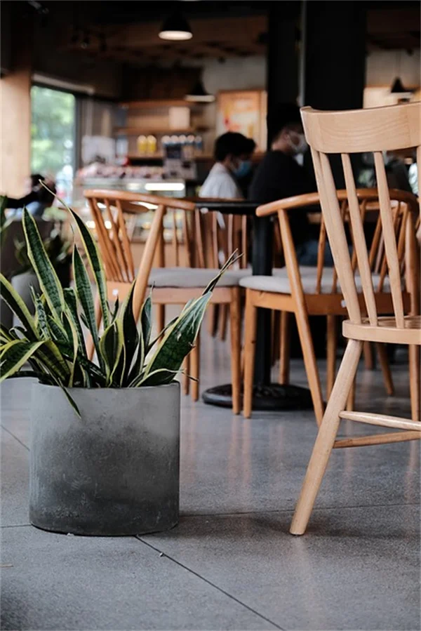 Apple Cider Vinegar for Weight Loss: 15 lbs in 12 Weeks?