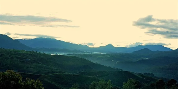 Apple Cider Vinegar for Weight Loss: 15 lbs in 12 Weeks?