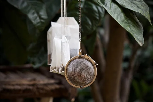 FDA-Cleared AI App for Scoliosis: Early Detection Just Got Easier