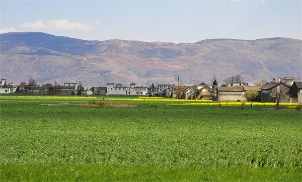 Olivia Munn's Hysterectomy: Why She Removed Her Uterus During Breast Cancer Treatment